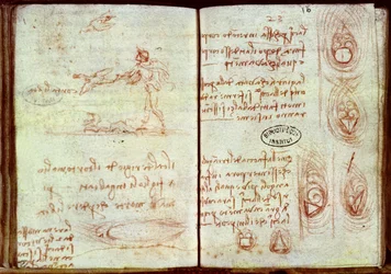 Estudio de las diferentes cualidades aerodinámicas de formas variadas con un boceto de un hombre y dos pájaros, Ms 7